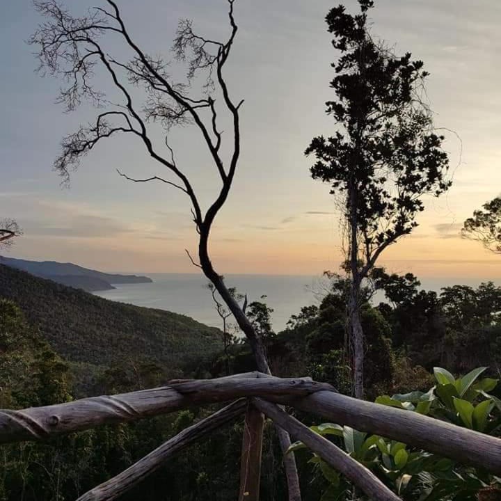 Photo of Outdoor in Puerto Princesa