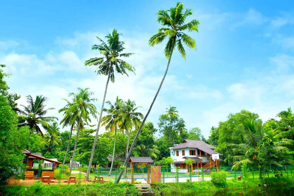Photo of Others in Cherthala