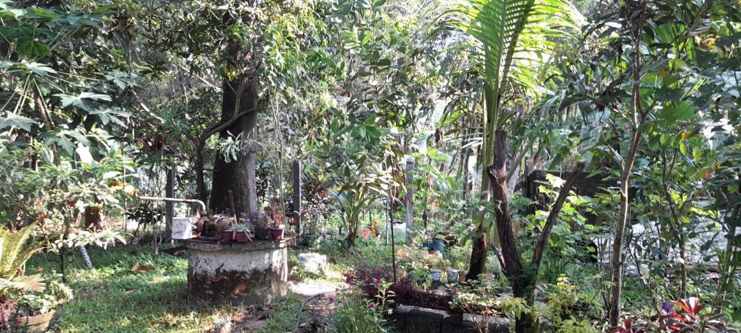 Photo of Outdoor in Mararikulam