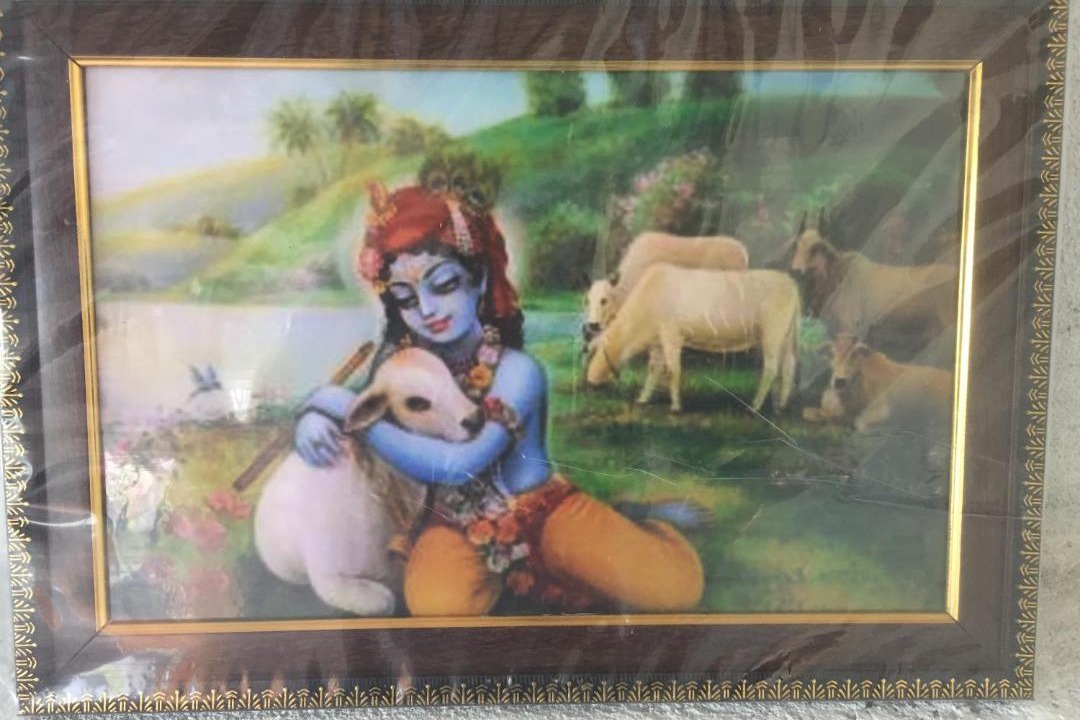 Photo of Human In Picture in Puri