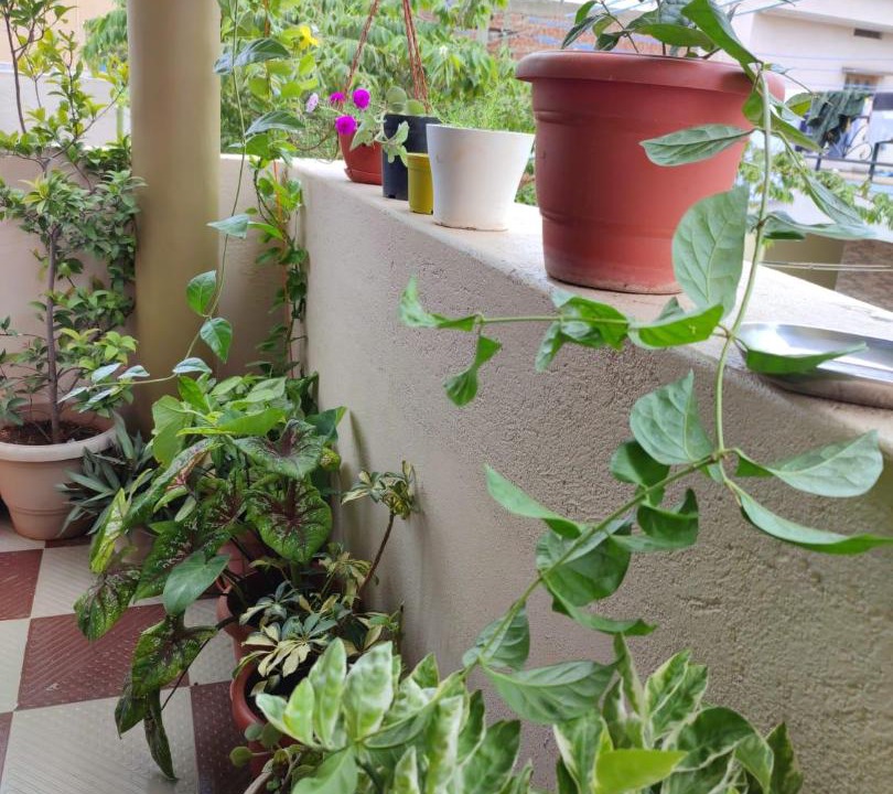 Photo of Patio Balcony in Kamalapur
