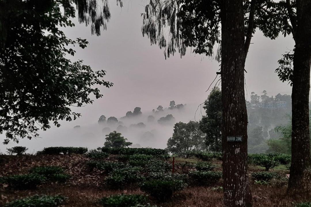 Photo of Others in Kurseong