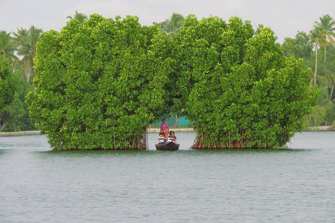 Photo of Others in Munroe Island