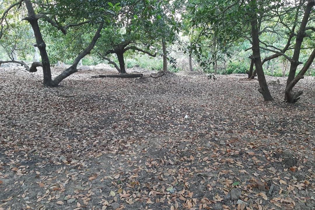 Photo of Outdoor in Dahanu