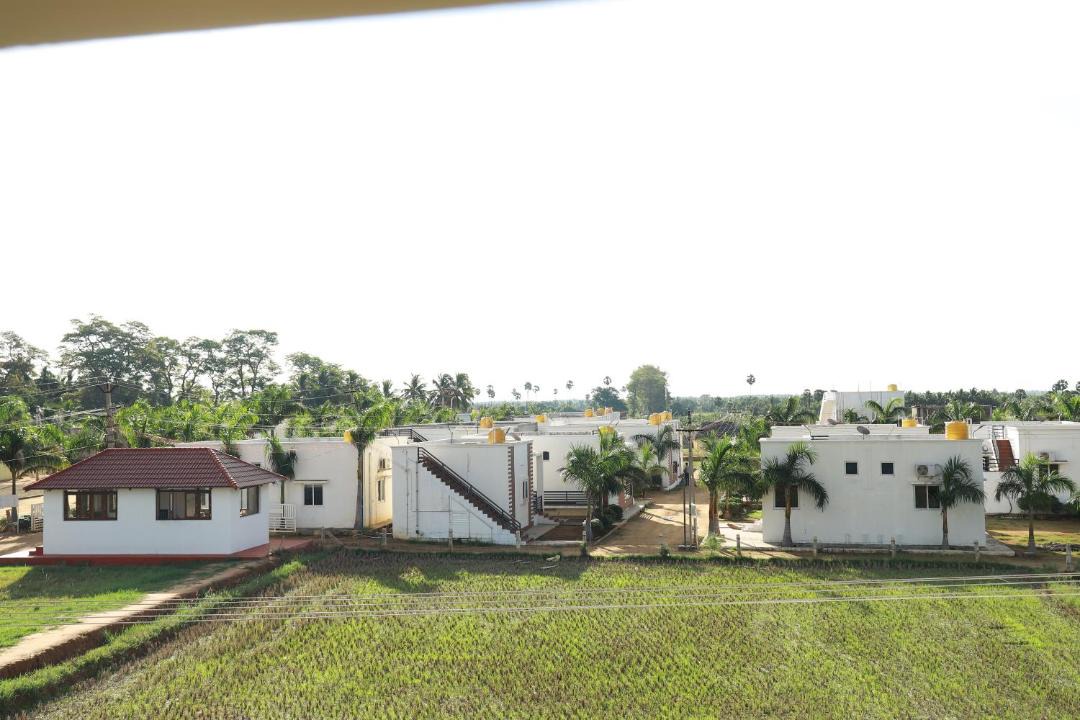 Photo of Others in Tenkasi