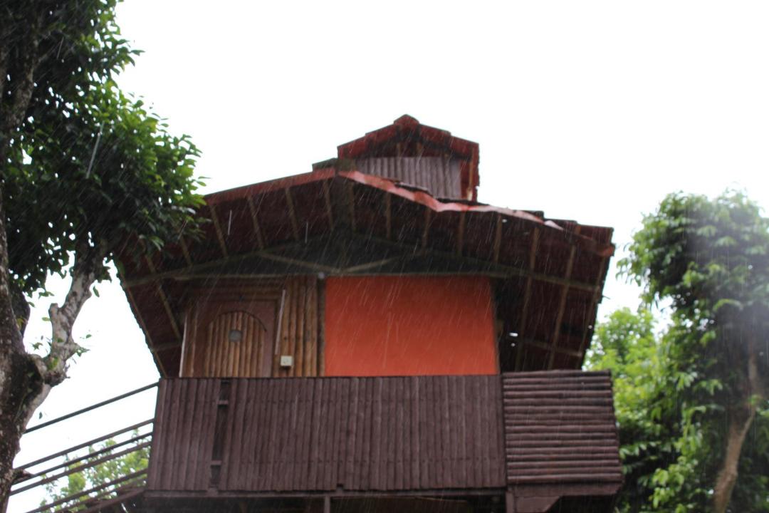 Photo of Buildings in Virarajendrapet
