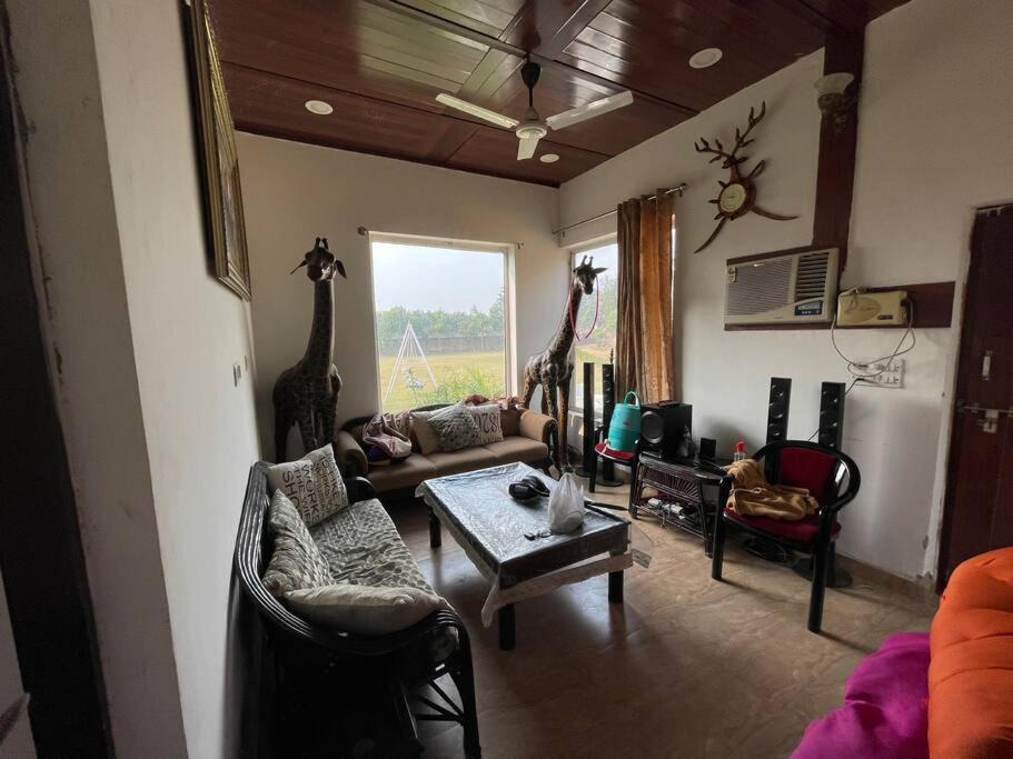 Photo of Livingroom in Gurugram