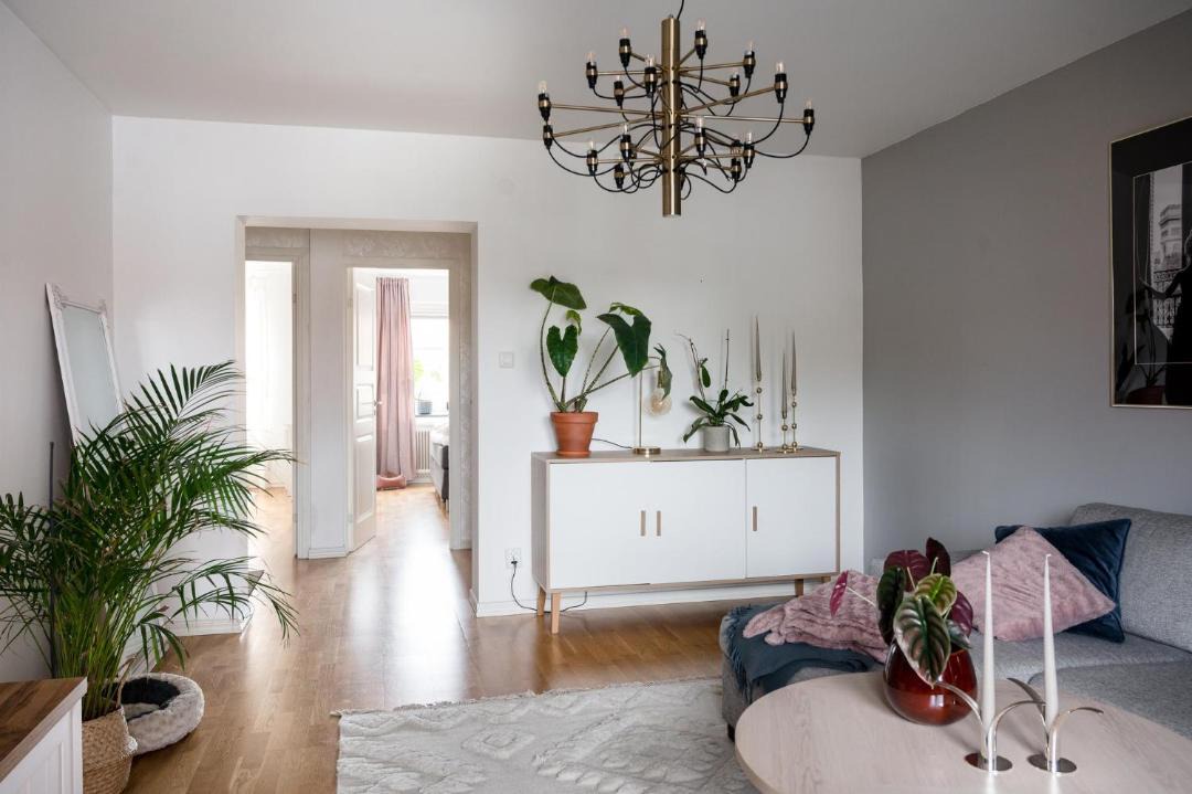 Photo of Livingroom in Surat