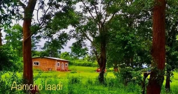 Photo of Others in Jagdalpur