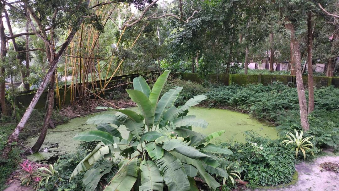 Photo of Outdoor in Cherthala