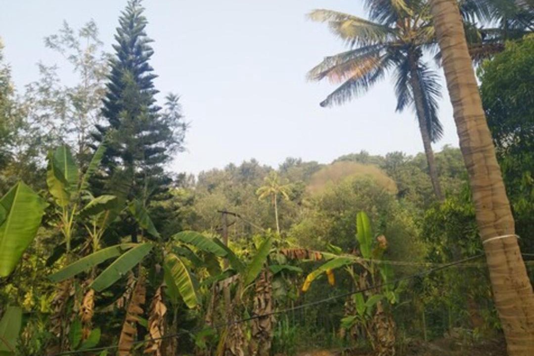 Photo of Others in Stuart Hill