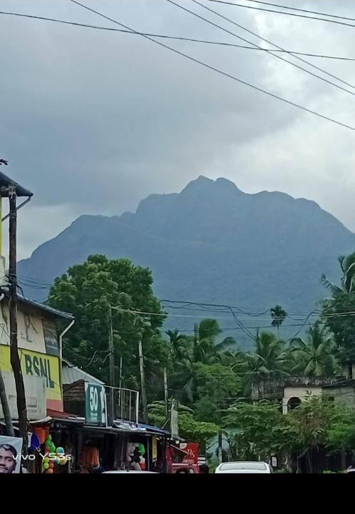 Photo of Others in Nedumangad