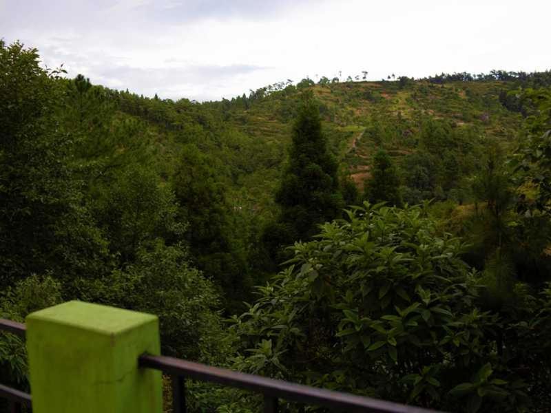 Photo of Others in Shillong