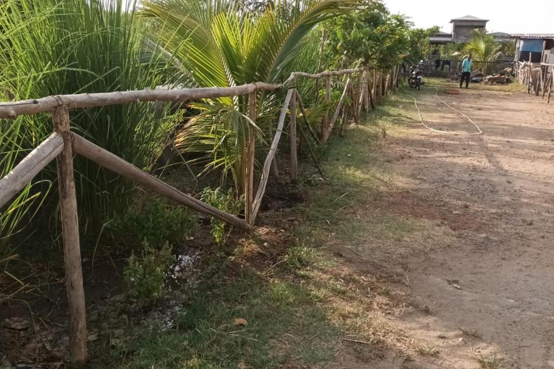 Photo of Outdoor in Desuri