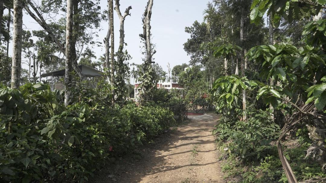 Photo of Others in Gudalur