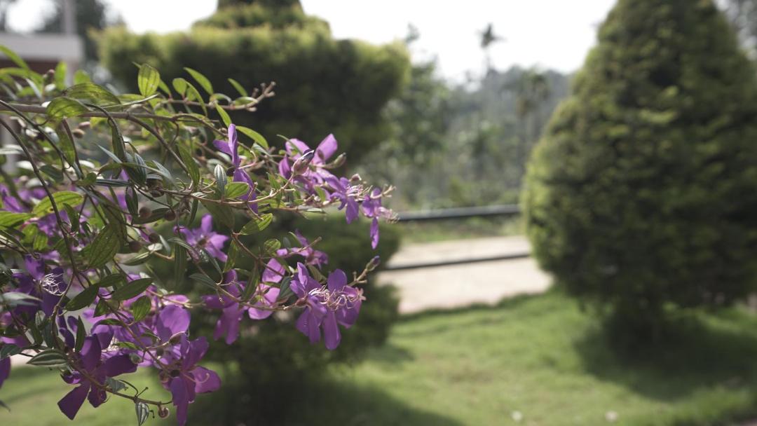 Photo of Outdoor in Gudalur