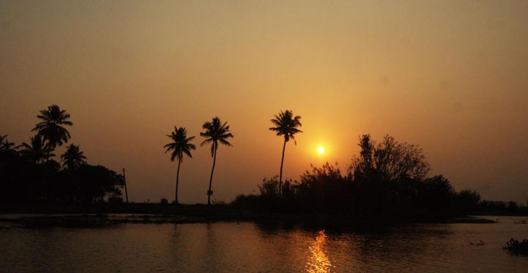 Photo of Others in Kumarakom