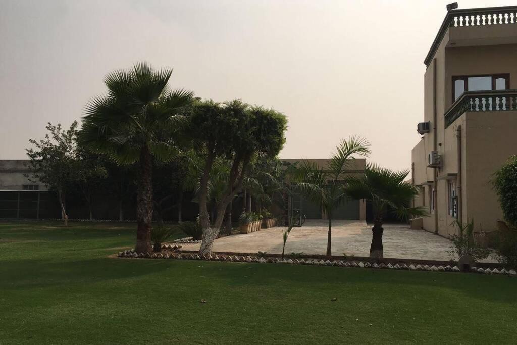 Photo of Buildings in Dabwali