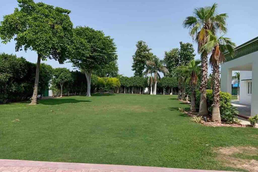 Photo of Buildings in Dabwali