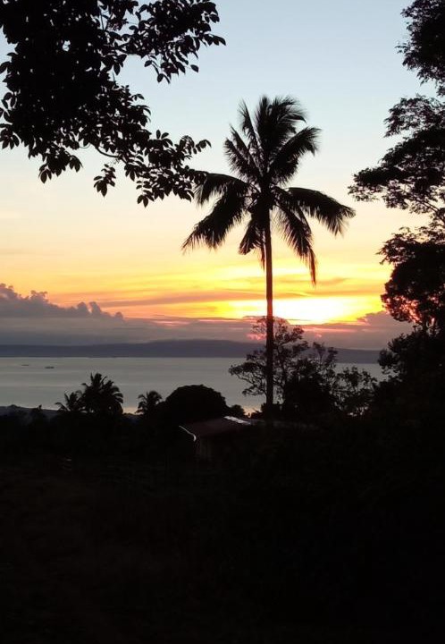 Photo of Outdoor in Toril