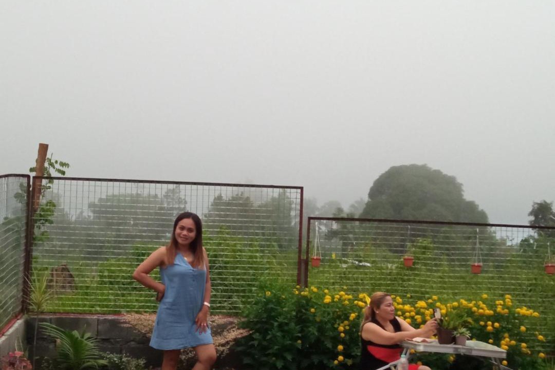 Photo of Human In Picture in Toril