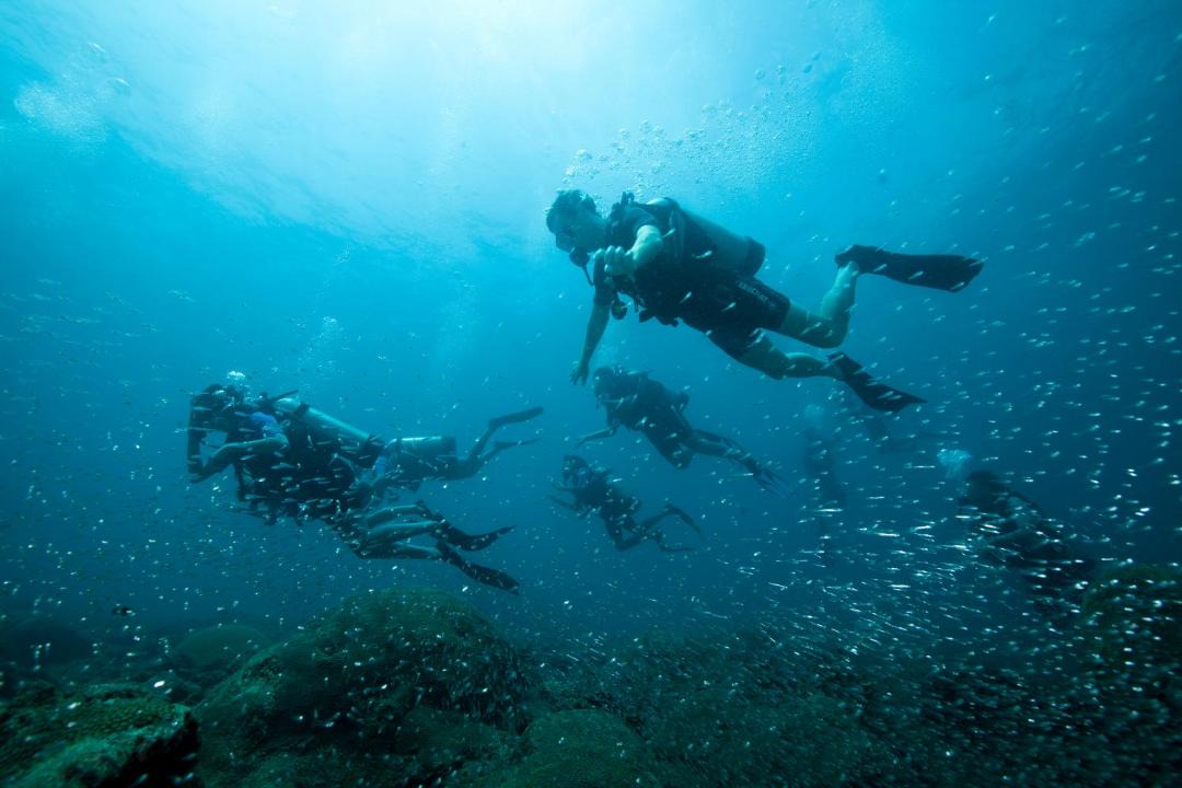 Photo of Others in Havelock Island
