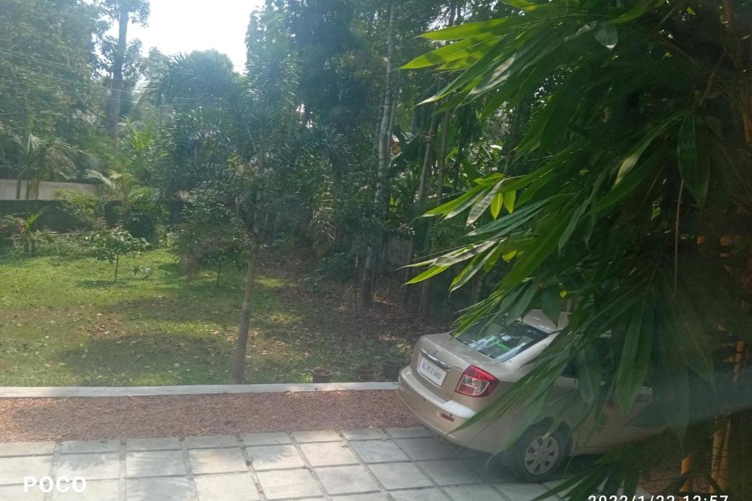 Photo of Others in Perumbaikad