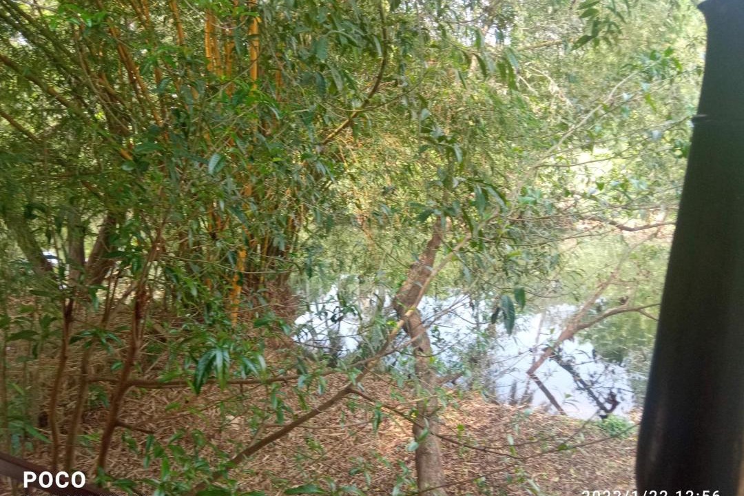 Photo of Others in Perumbaikad