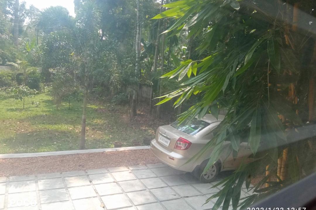 Photo of Others in Perumbaikad