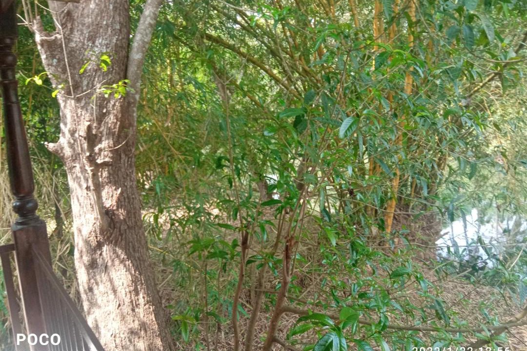 Photo of Others in Perumbaikad