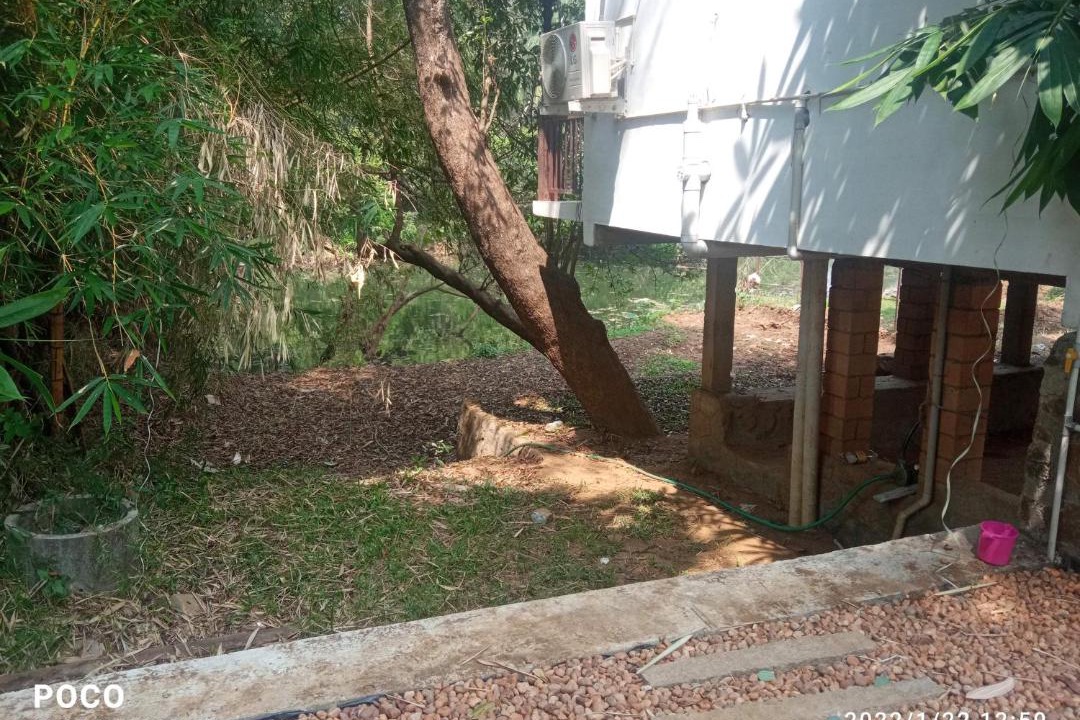 Photo of Buildings in Perumbaikad