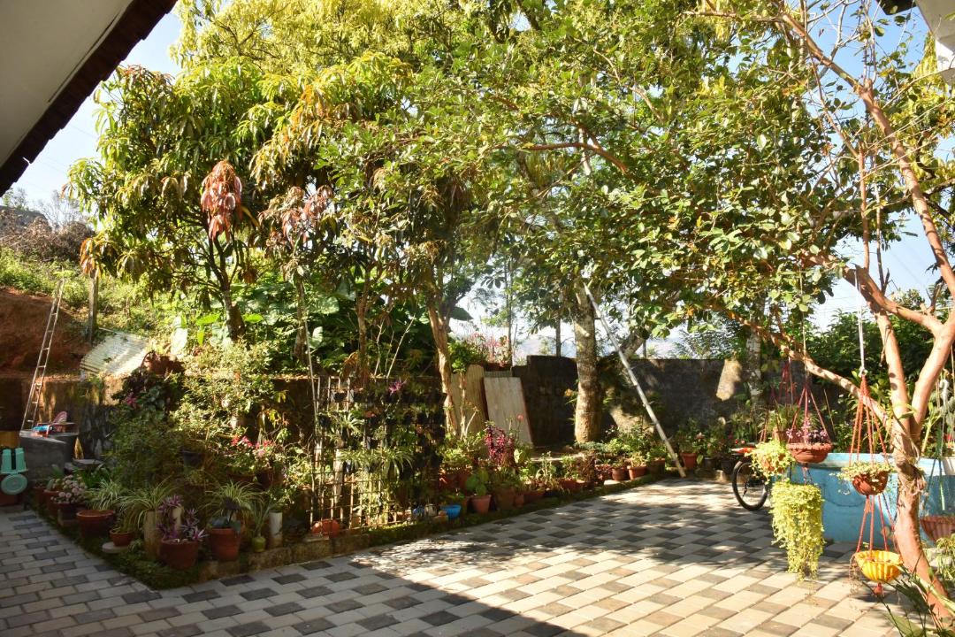 Photo of Others in Devikolam