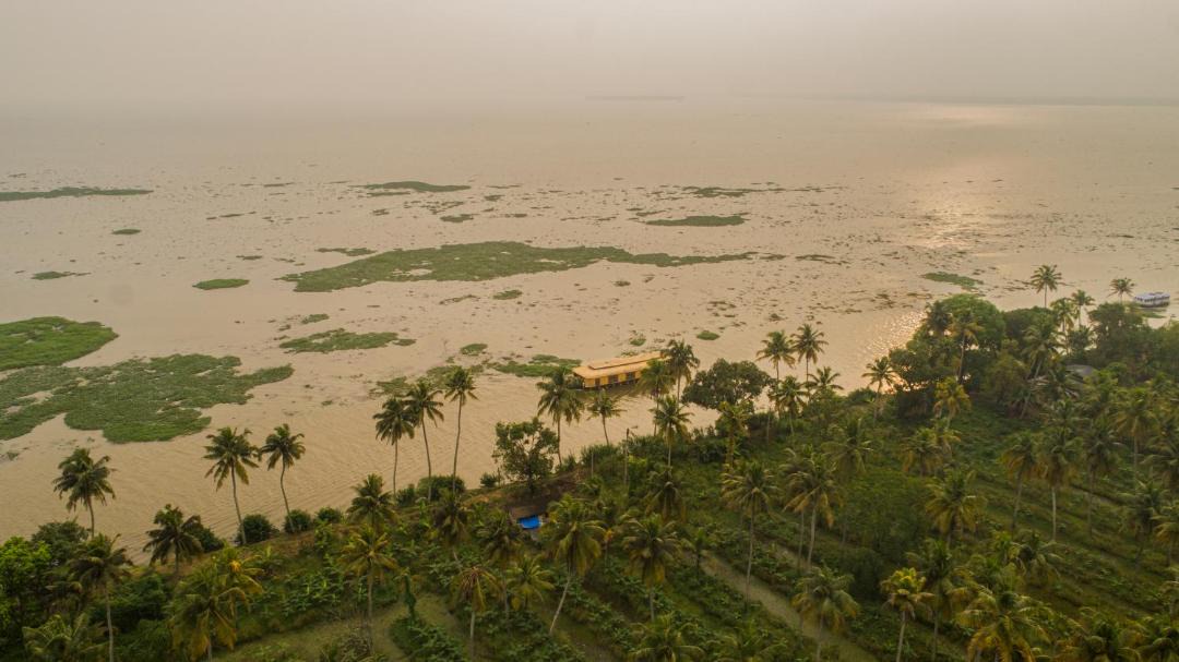 Photo of Outdoor in Kumarakom