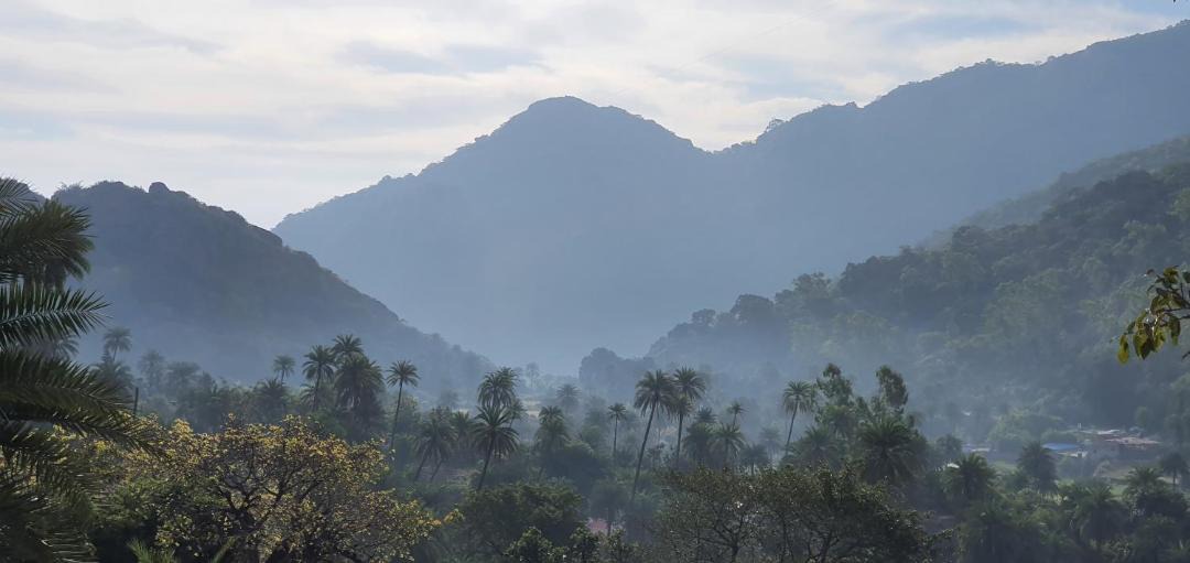 Photo of Others in Mount Abu