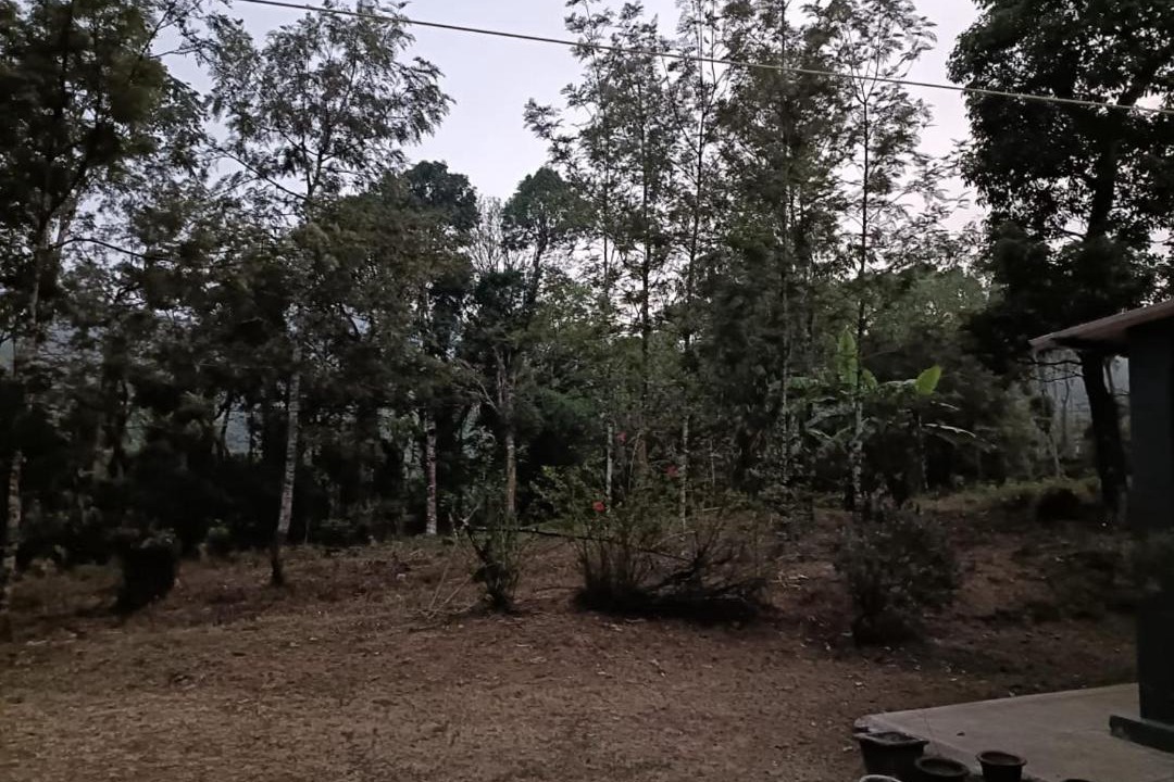 Photo of Others in Madikeri