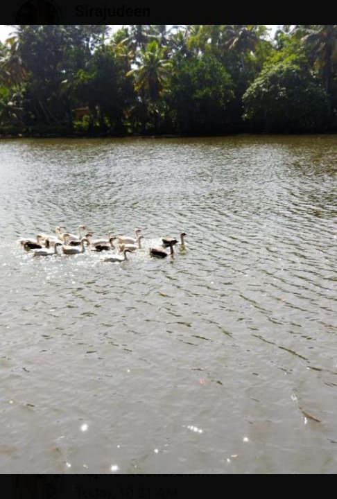 Photo of Others in Thiruvananthapuram