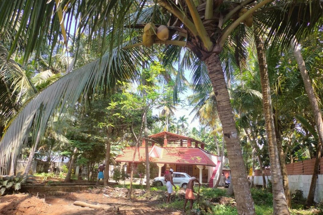 Photo of Others in Thiruvananthapuram