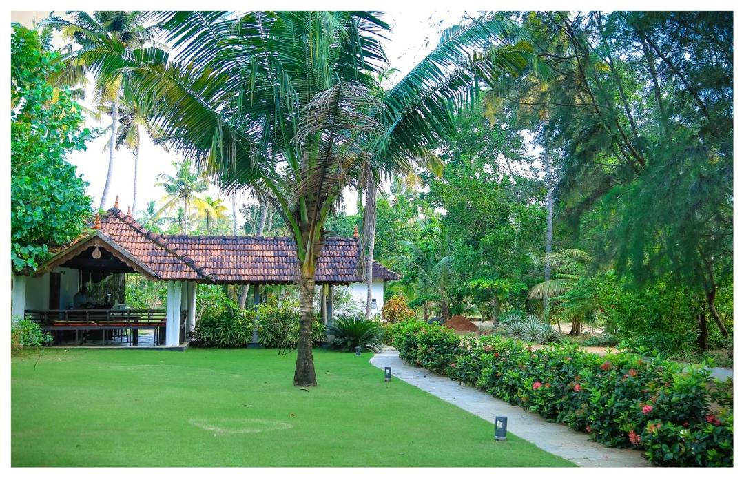 Photo of Others in Alappuzha