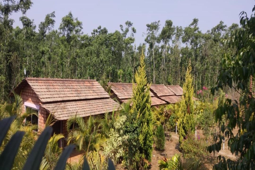 Photo of Others in Sakleshpur