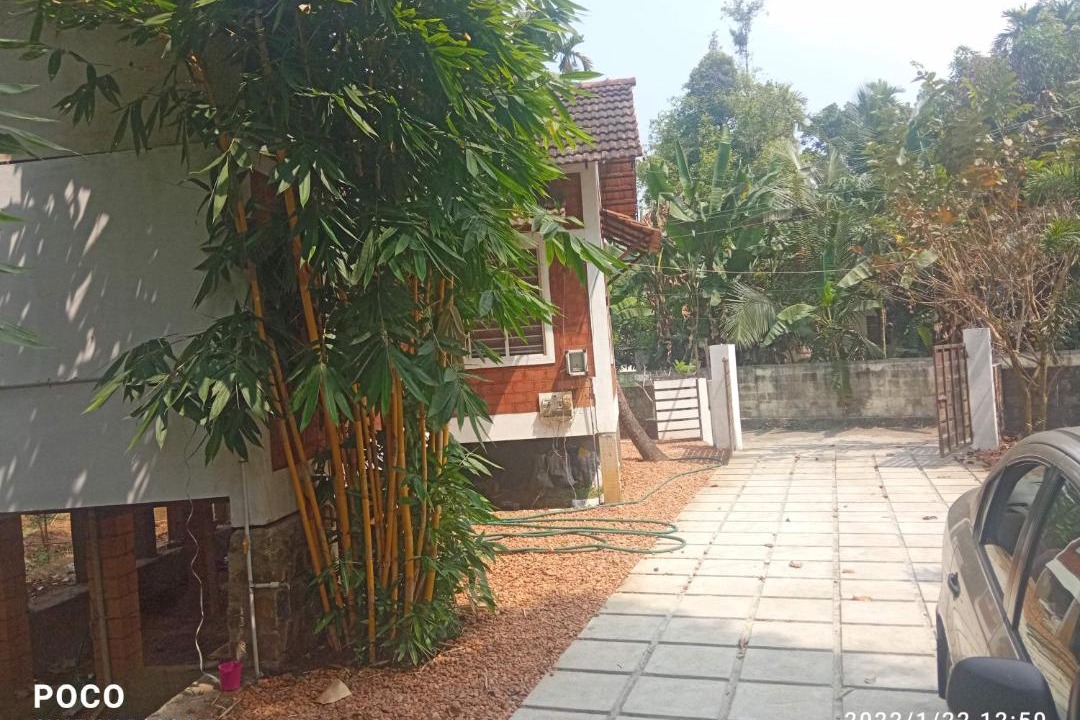 Photo of Others in Kumaranalloor
