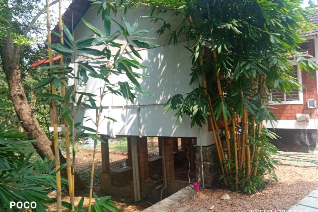 Photo of Buildings in Kumaranalloor