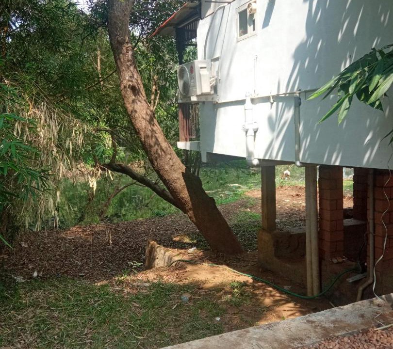 Photo of Buildings in Kumaranalloor
