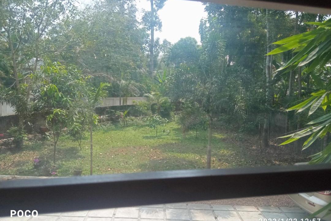 Photo of Outdoor in Kumaranalloor