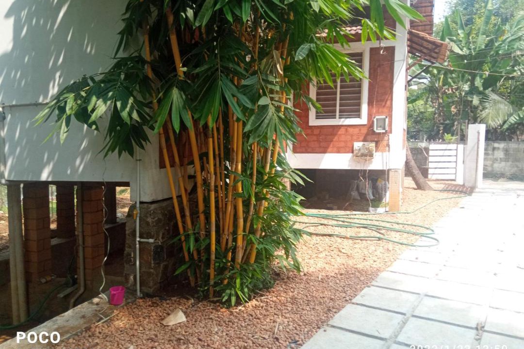 Photo of Buildings in Kumaranalloor