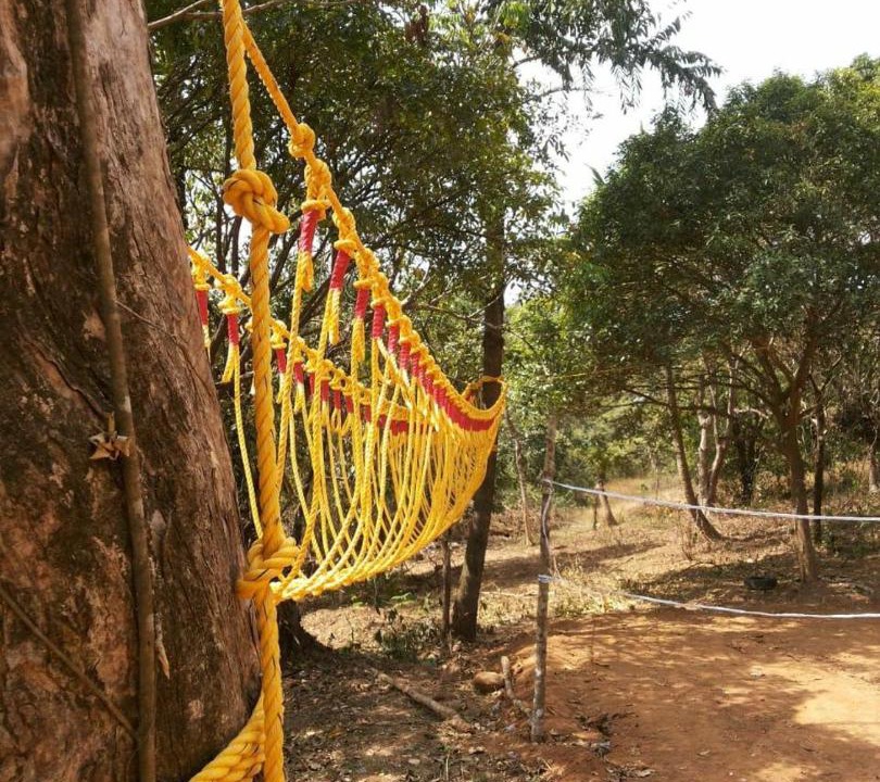 Photo of Others in Sakleshpur