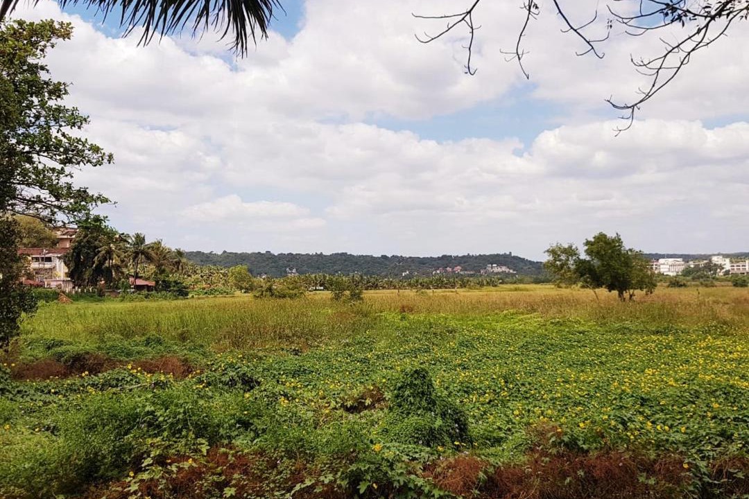 Photo of Outdoor in Saunta Vaddo