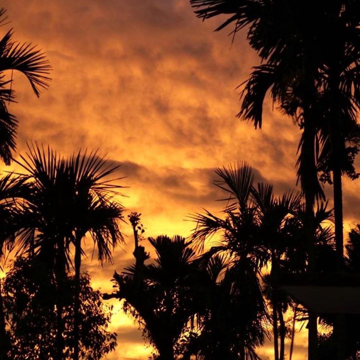 Photo of Outdoor in Madikeri