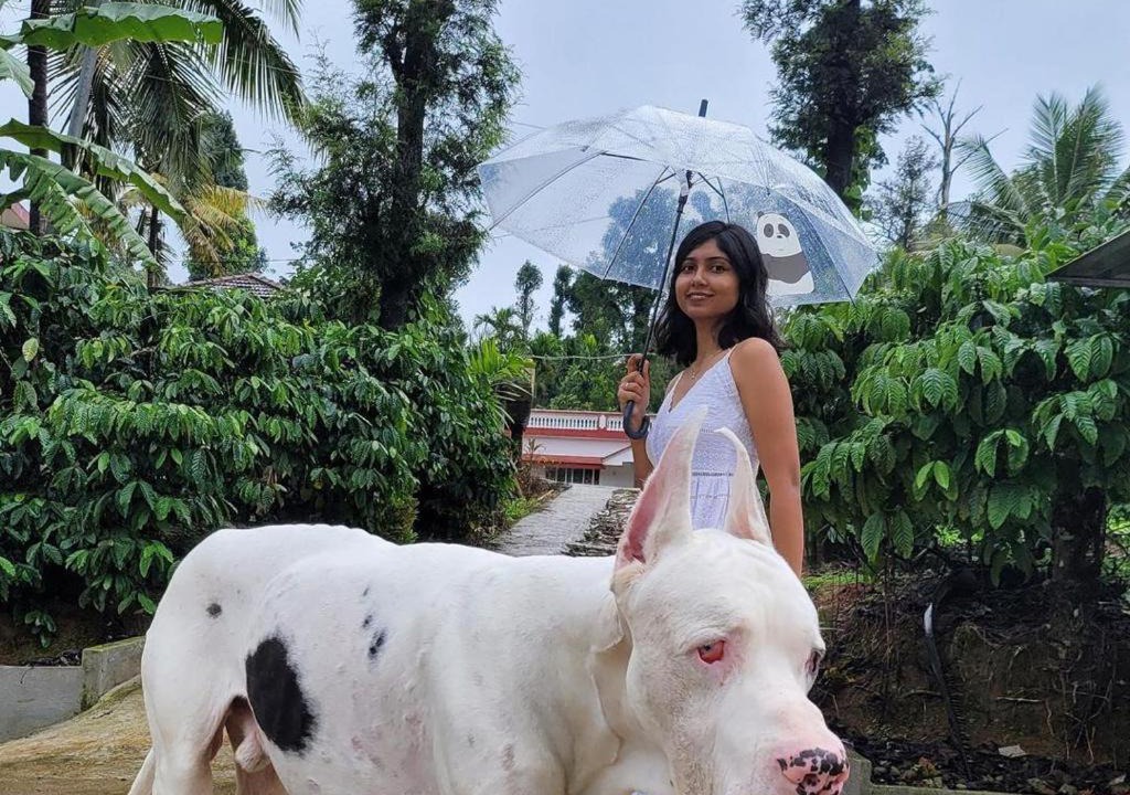 Photo of Human In Picture in Madikeri