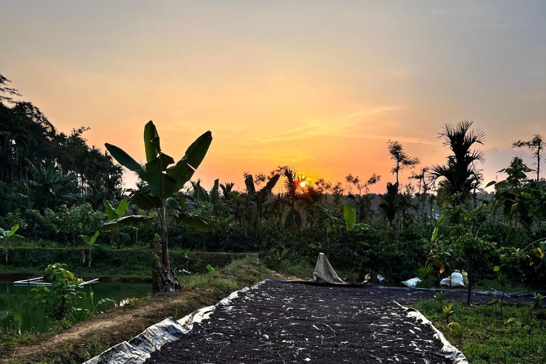 Photo of Outdoor in Madikeri