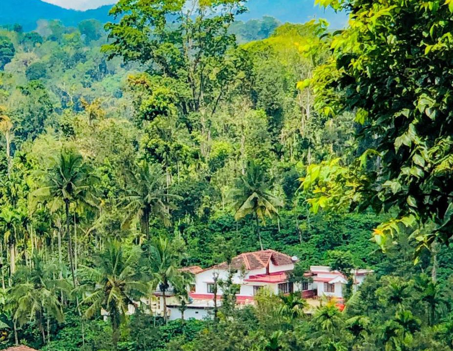 Photo of Outdoor in Madikeri